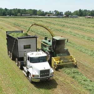 Meet your Posher, Hank